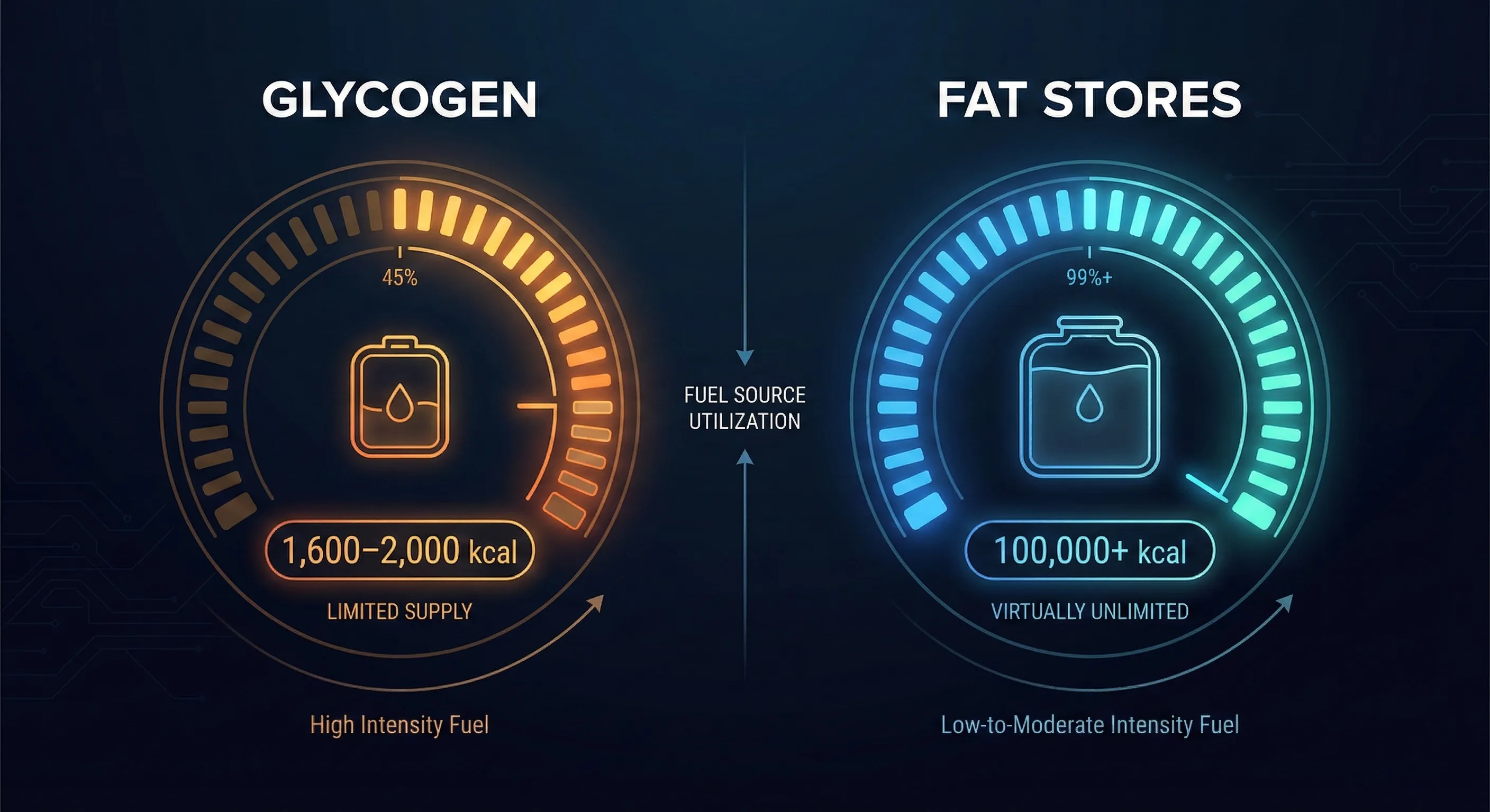 TWO FUEL TANKS INFOGRAPHIC